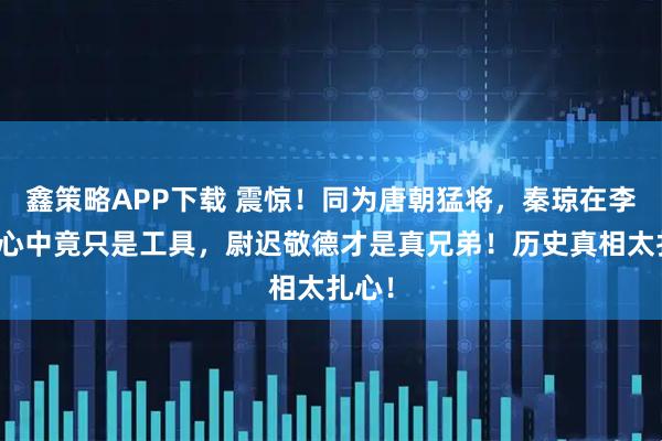 鑫策略APP下载 震惊！同为唐朝猛将，秦琼在李世民心中竟只是工具，尉迟敬德才是真兄弟！历史真相太扎心！