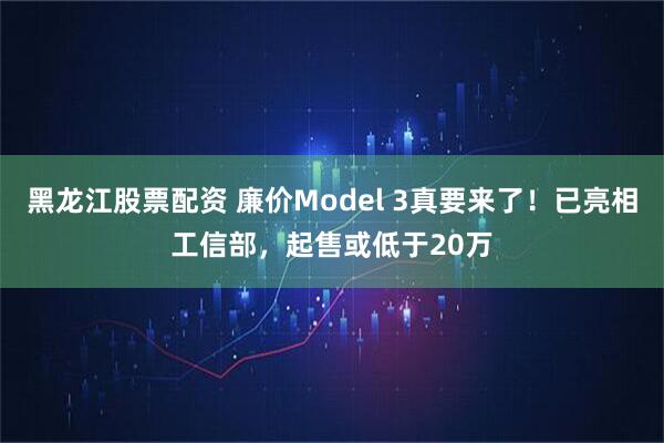 黑龙江股票配资 廉价Model 3真要来了！已亮相工信部，起售或低于20万