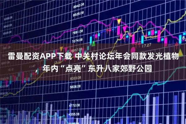 雷曼配资APP下载 中关村论坛年会同款发光植物，年内“点亮”东升八家郊野公园