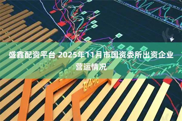 盛鑫配资平台 2025年11月市国资委所出资企业营运情况
